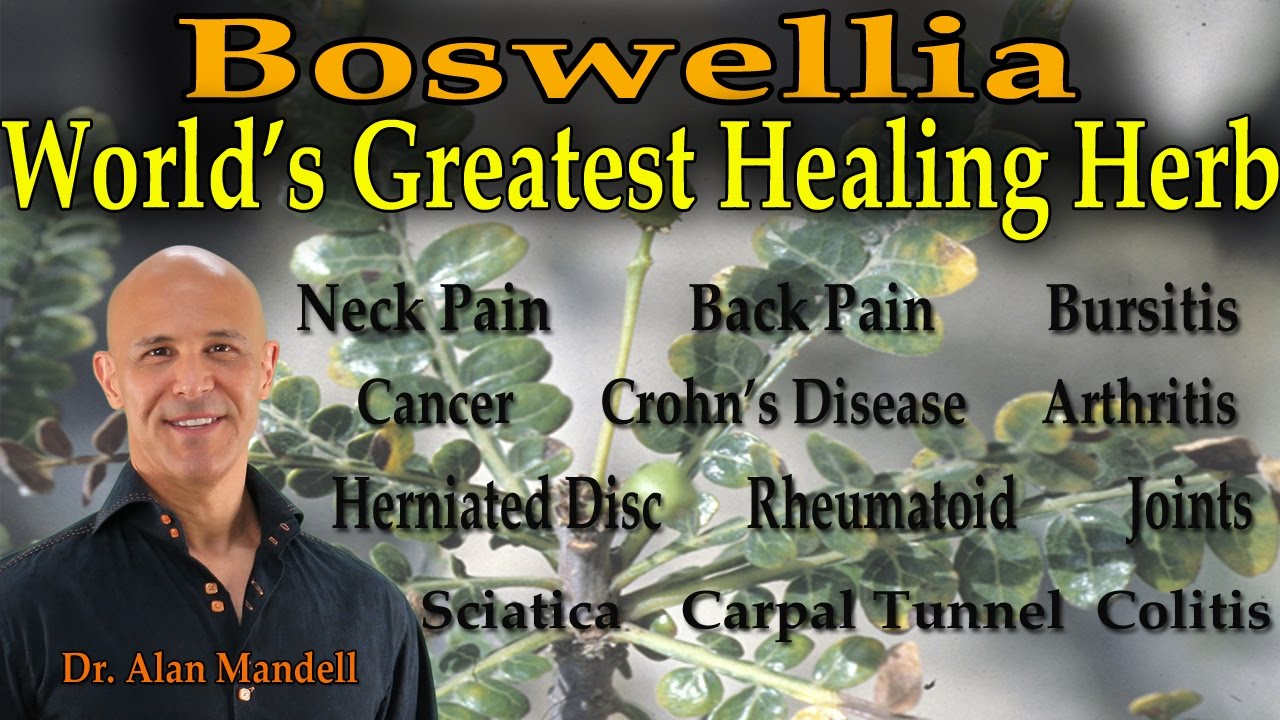 Boswellia - The World's Greatest Healing Herb (Inflammation, Pain, Arthritis, Cancer) - Dr Mandell