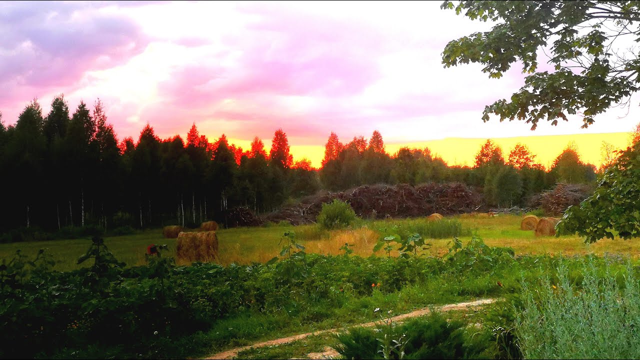 Summer Evening Nostalgia.