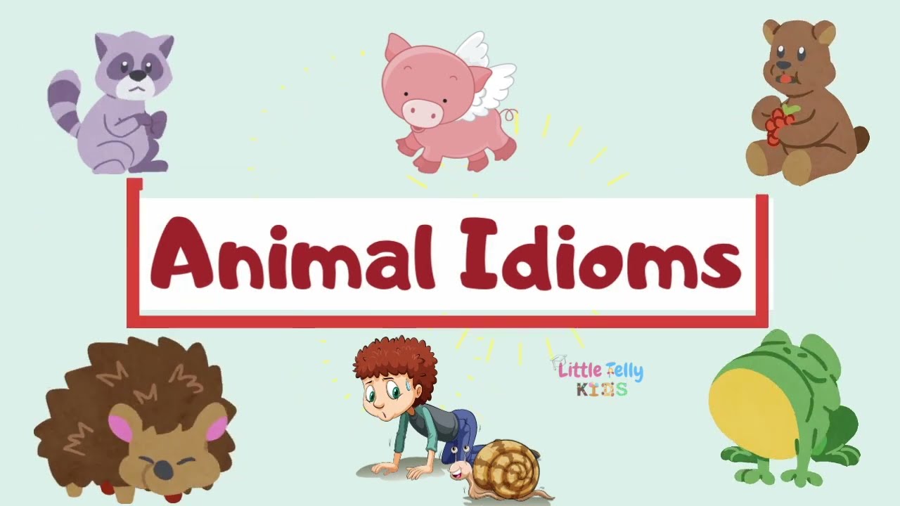 Animal Idioms || Pre-school Learning Video || English Educational Video || Learn Bird related Idioms