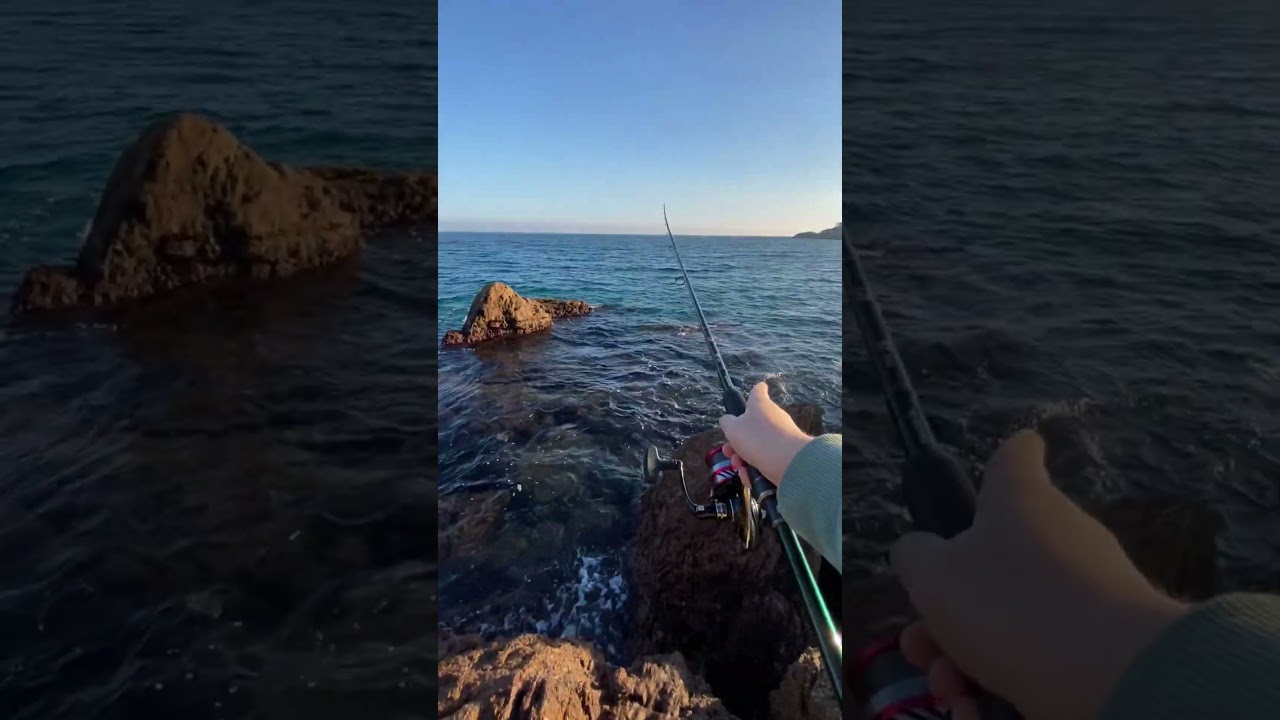 Какая приманка поймает рыбу за 2 заброса? #fishing