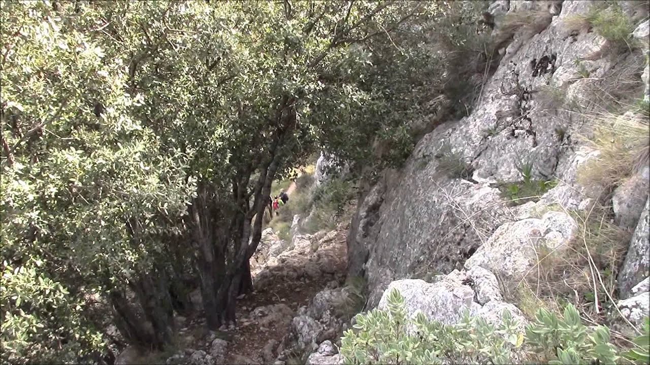 ELS ARCS-Castell de Castells (Alicante)