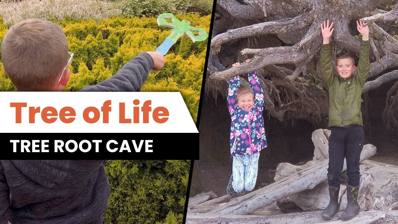 Visiting the Tree of Life (Tree Root Cave) & Collecting Sand Dollars at Kalaloch Beach!