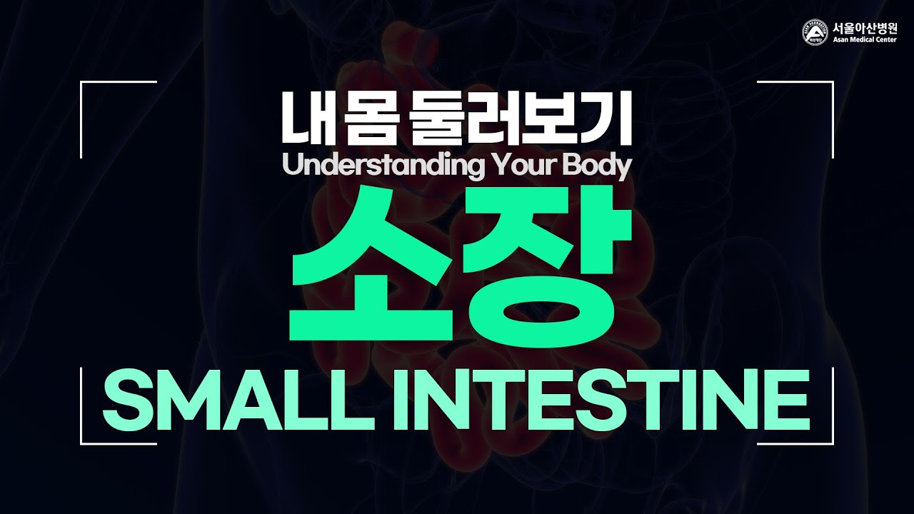 소장 [내 몸 둘러보기]