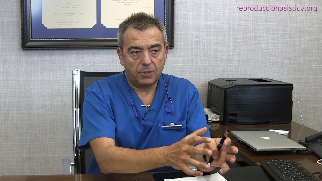 Transferencia de embriones congelados