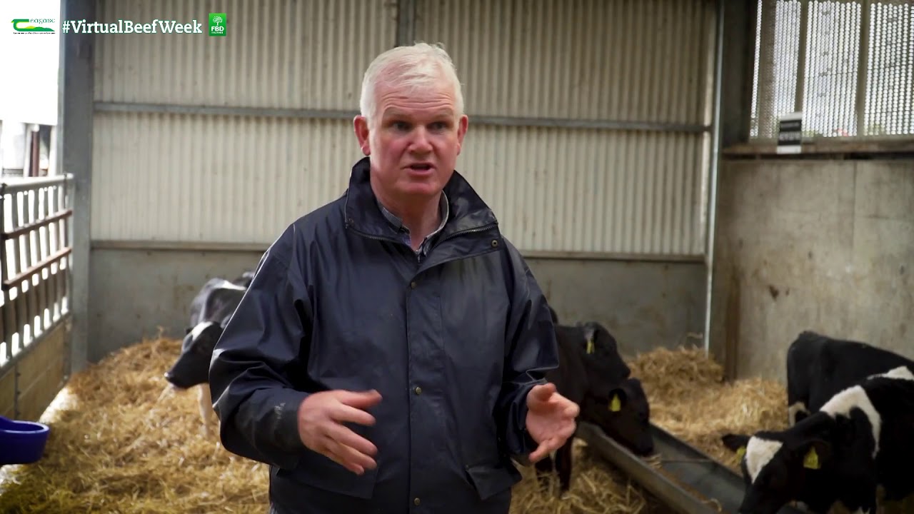 Virtual Beef Week - Monday