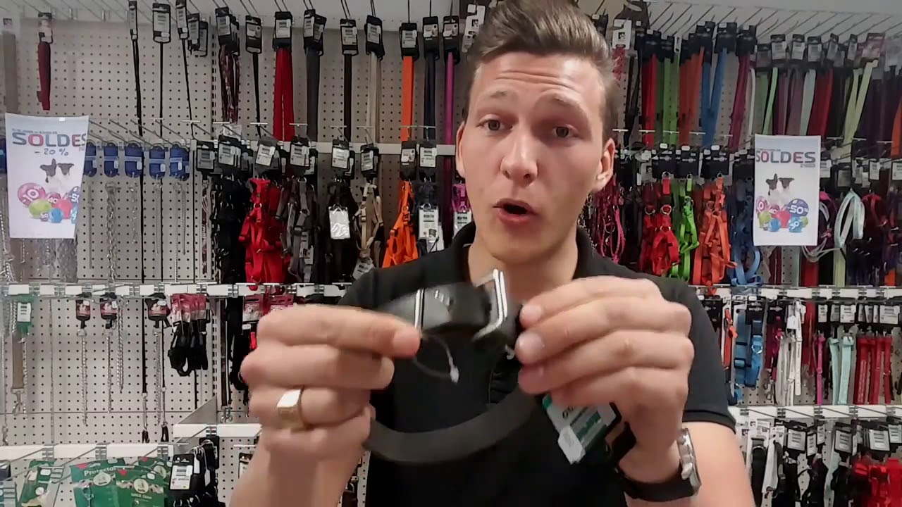 Quel collier choisir pour mon chien ? #32