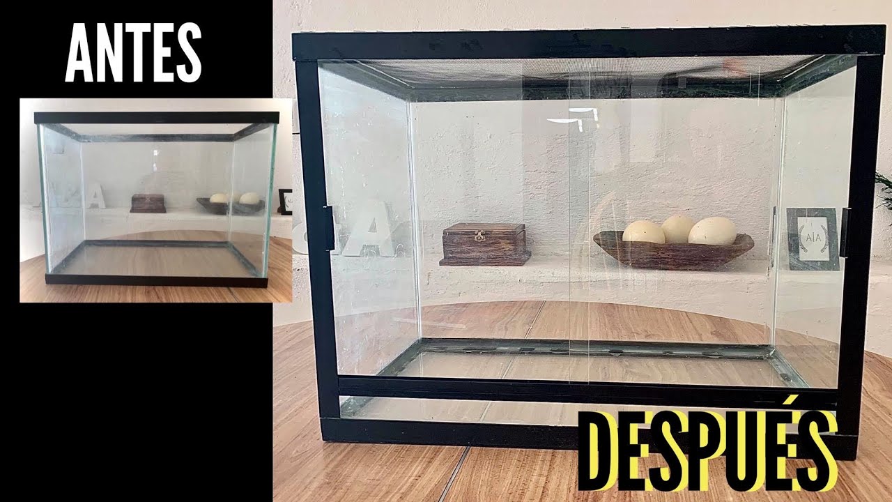 Convierte una pecera en un terrario