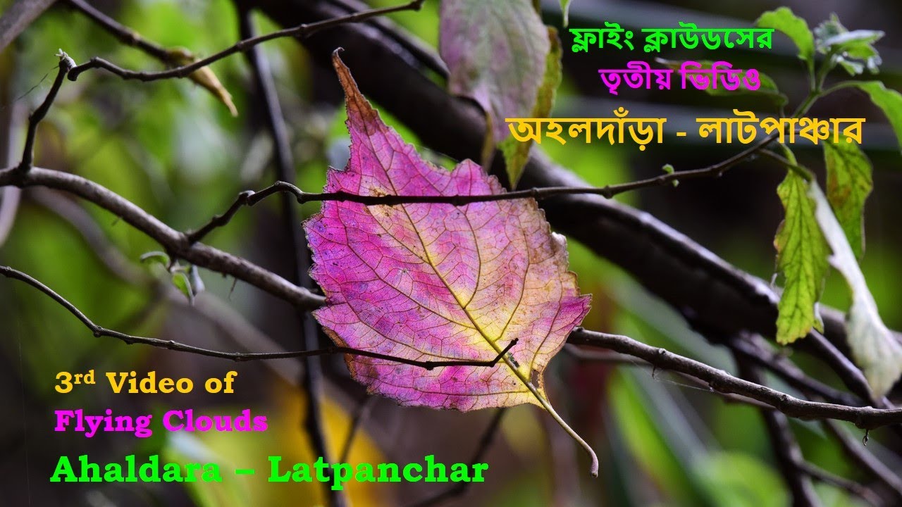 Ahaldara Latpanchar  অহল দাঁড়া – লাটপাঞ্চার | Travel Video |