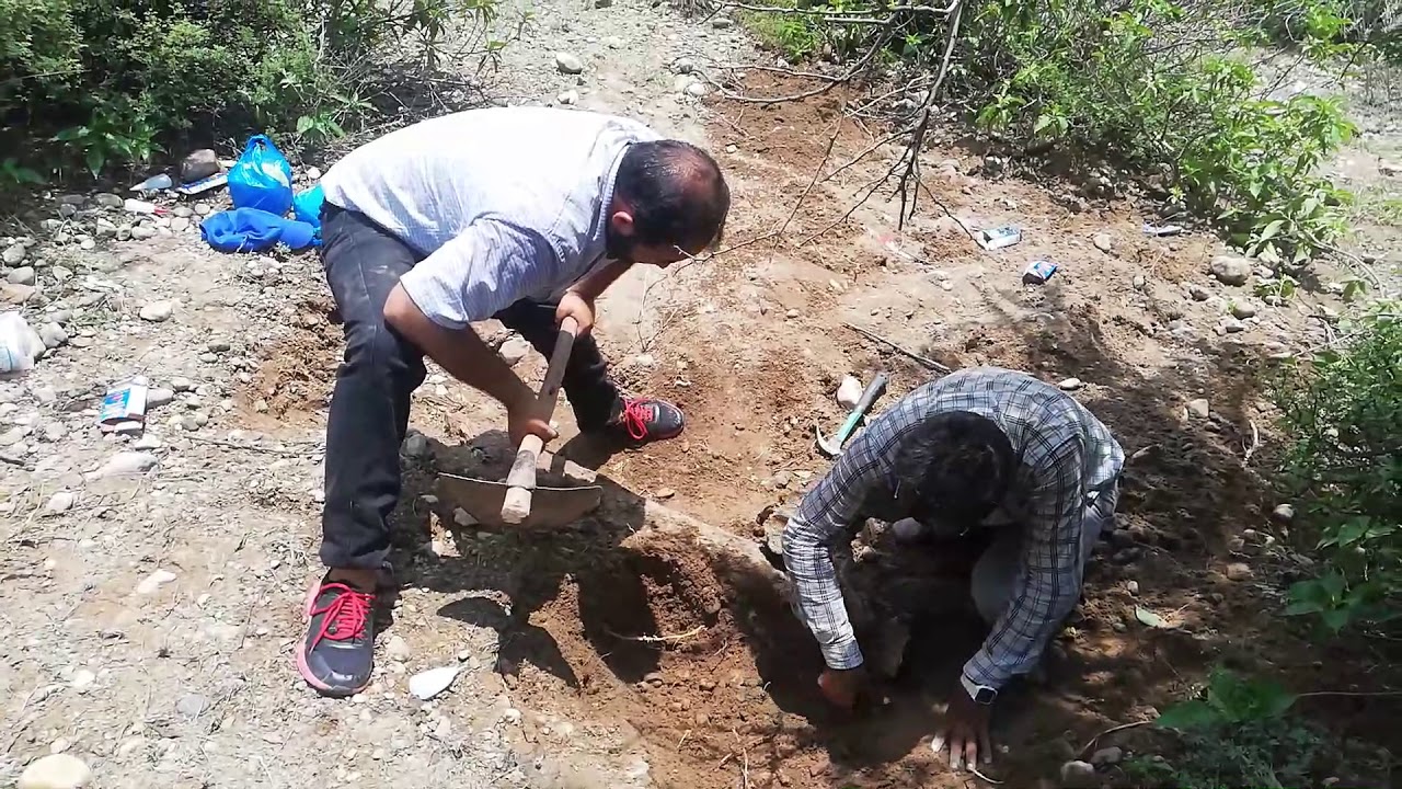 Excavation of 2nd Bubalus Skull From Panjan Sher Shahana 2- پنجن شیر شہانہ سے بوبیلس کی دوسری کھوپڑی