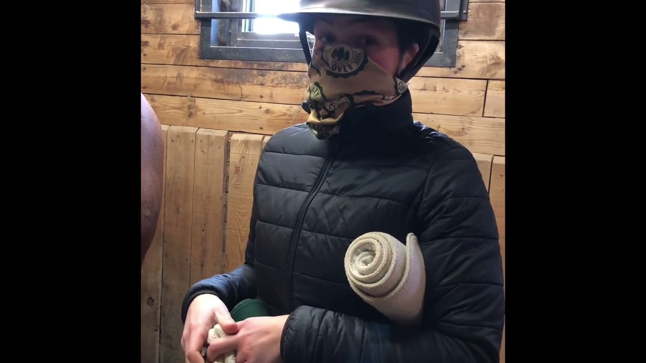 Polo and Stable Bandaging