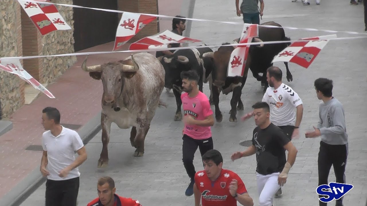 Encierro de la mañana del domingo de las Fiestas de Ólvega 2019