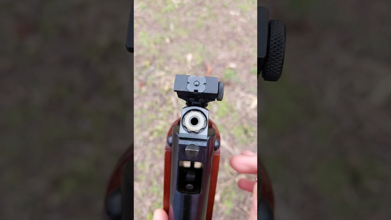 Rifle Weihrauch Hw80/Beeman R1 