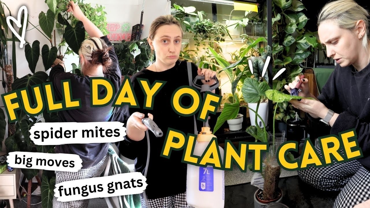 Fixing My Plant Problems 🌱 Full Day of Pest Treatment, Rearranging + More