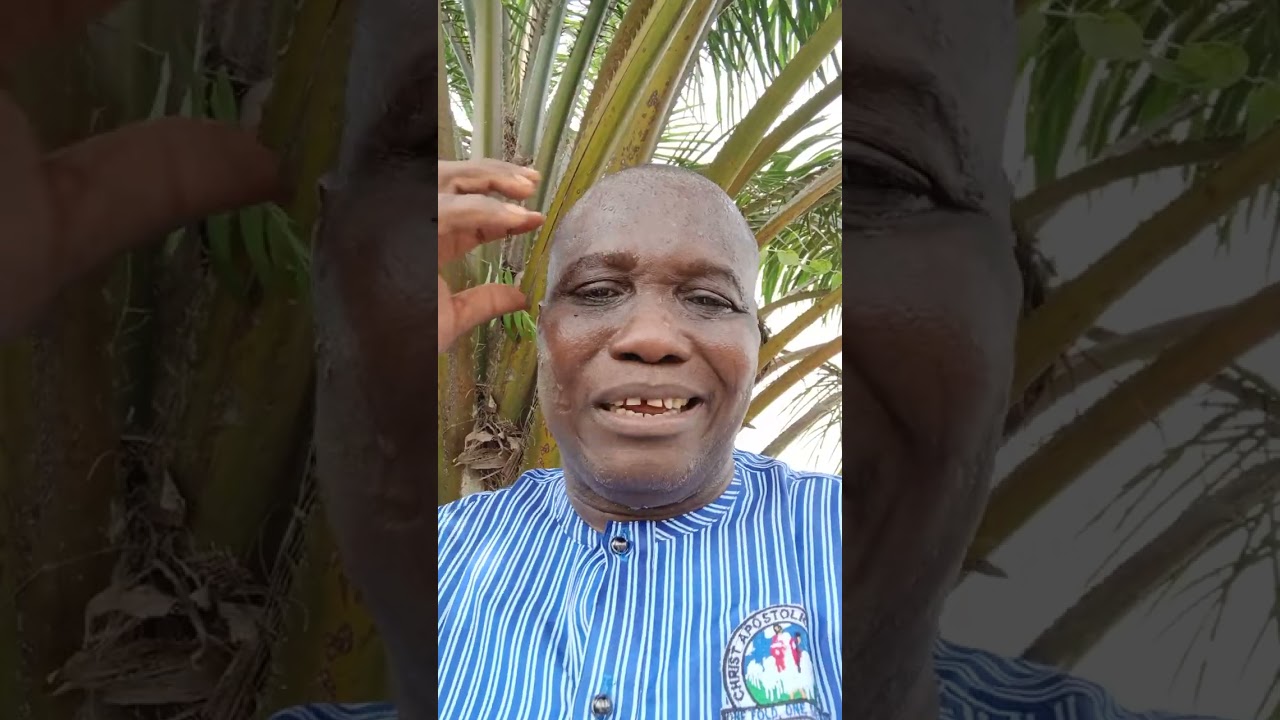 Message to : Baba Adeboye, Kumuyi, Olukoya, Hezekiah, Sunday Igboho, Tinubu, Yoruba Obas, Kanu, etc