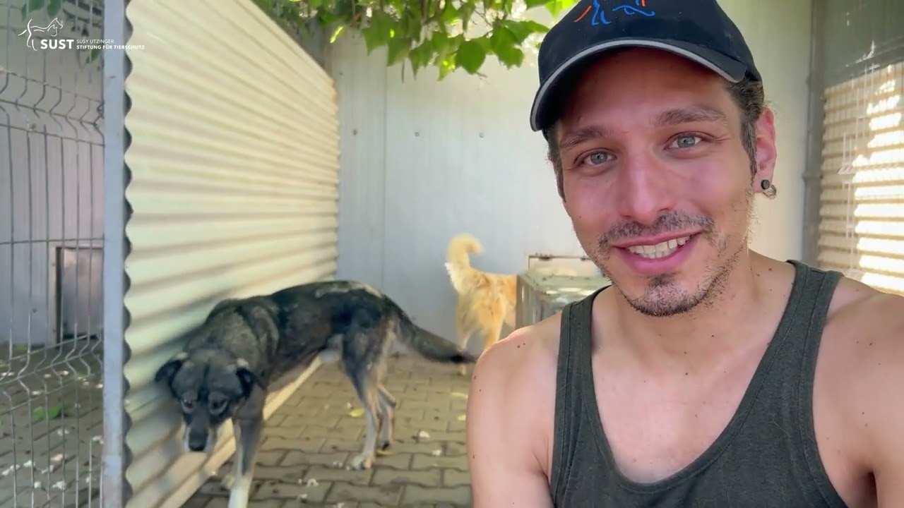 SUST-TierschutzhelferInnen im Einsatz in Rumänien