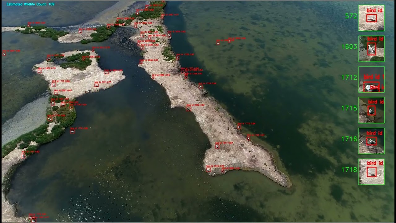 ORACLE - Advanced Object Detection and Tracking of small objects using a Finetuned YOLOv8x-p2 model