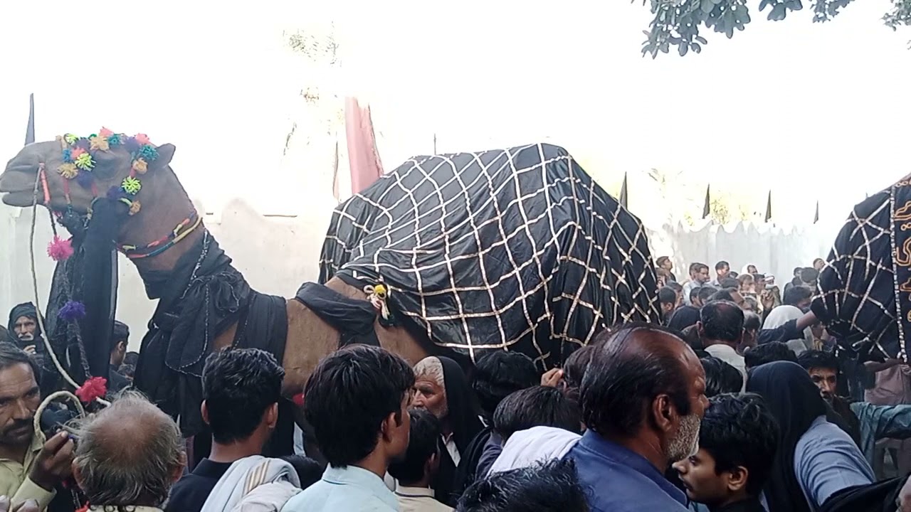 wandha dost ali men 29 safar  ki majlis men mahmalun ki majlis karai gai.onthun ki mjlis. camle majl