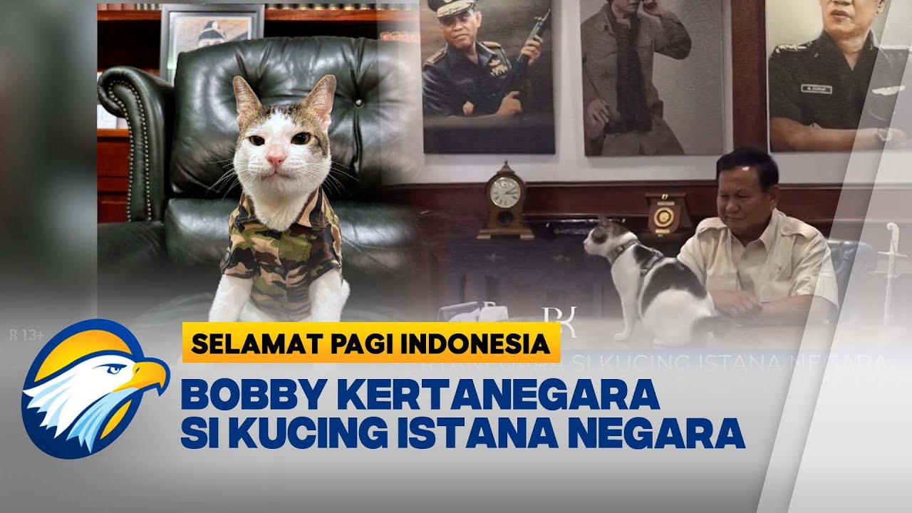 Bobby Kertanegara si Kucing Istana Negara [Selamat Pagi Indonesia]