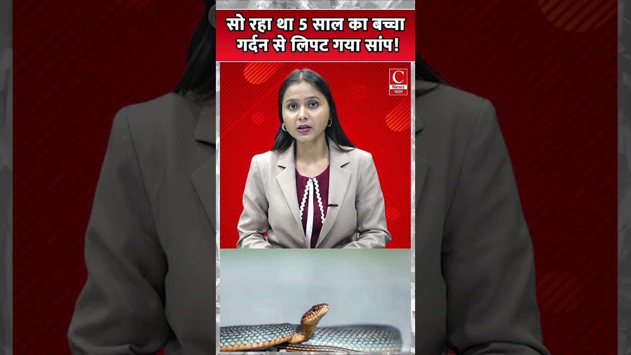 सो रहा था 5 साल का बच्चा... गर्दन से लिपट गया सांप! ||cnews bharat