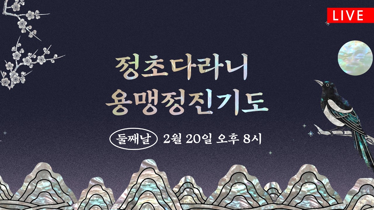 정초다라니 용맹정진기도 둘째날(2/20 20시) #조계사 #정초다라니 #생중계