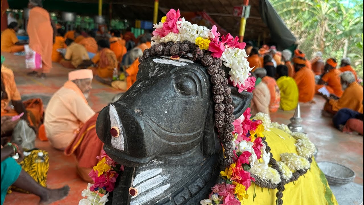 Daily Maheswara Puja- Annadanam in Arunachalam by Nityagni Trust 9283111113