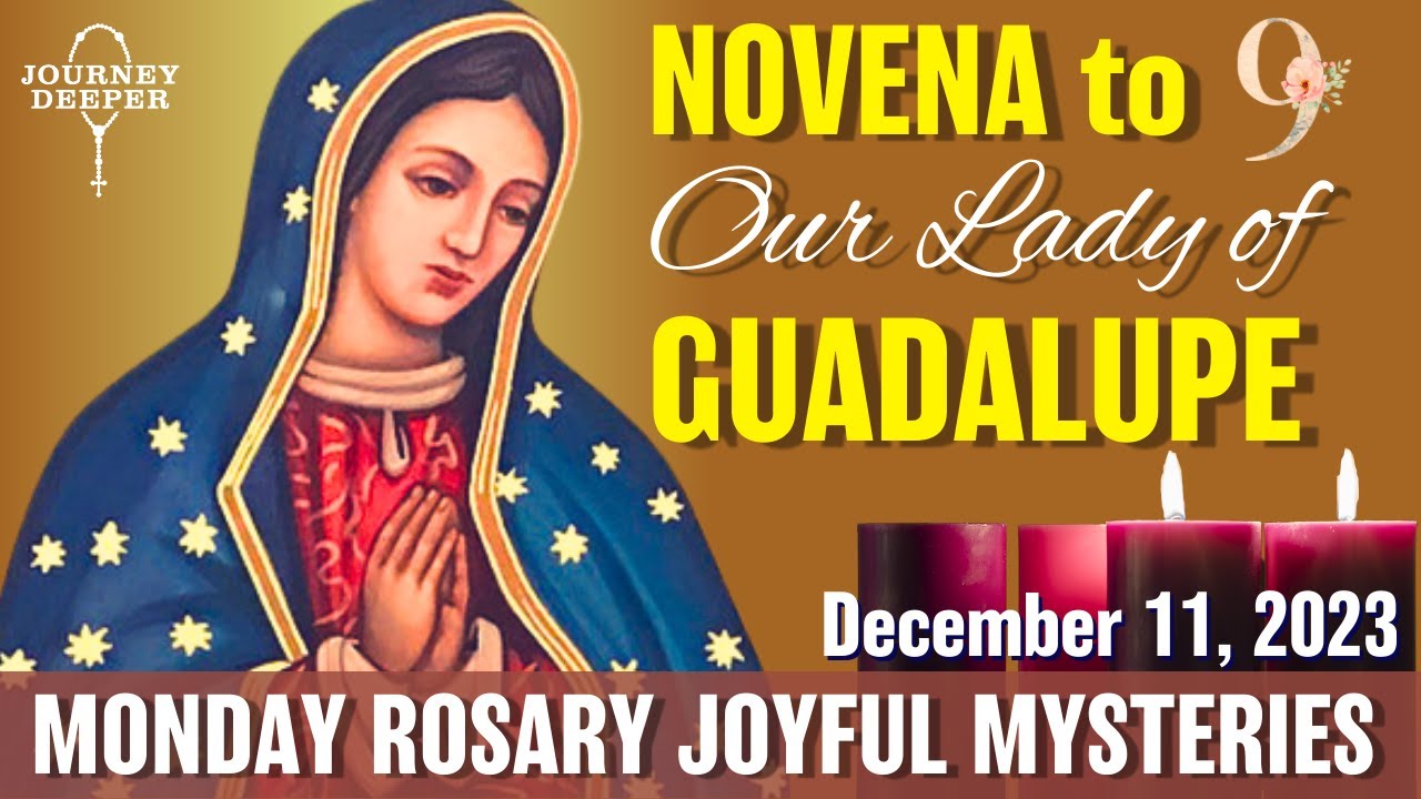 Novena to Our Lady of Guadalupe Day 9 Monday Rosary ᐧ Joyful Mysteries Rosary 💜 December 11, 2023