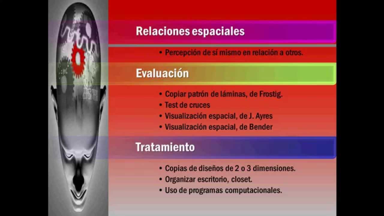 Clase Modelo Cognitivo Perceptual
