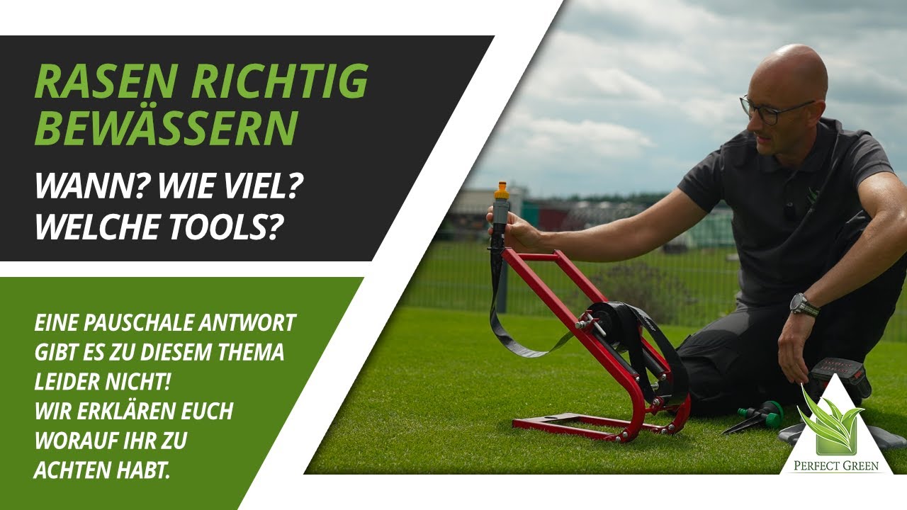 🌱 Rasen richtig bewässern! Welche Tageszeit? Welche Menge? Welche Geräte sind nötig?  🌱