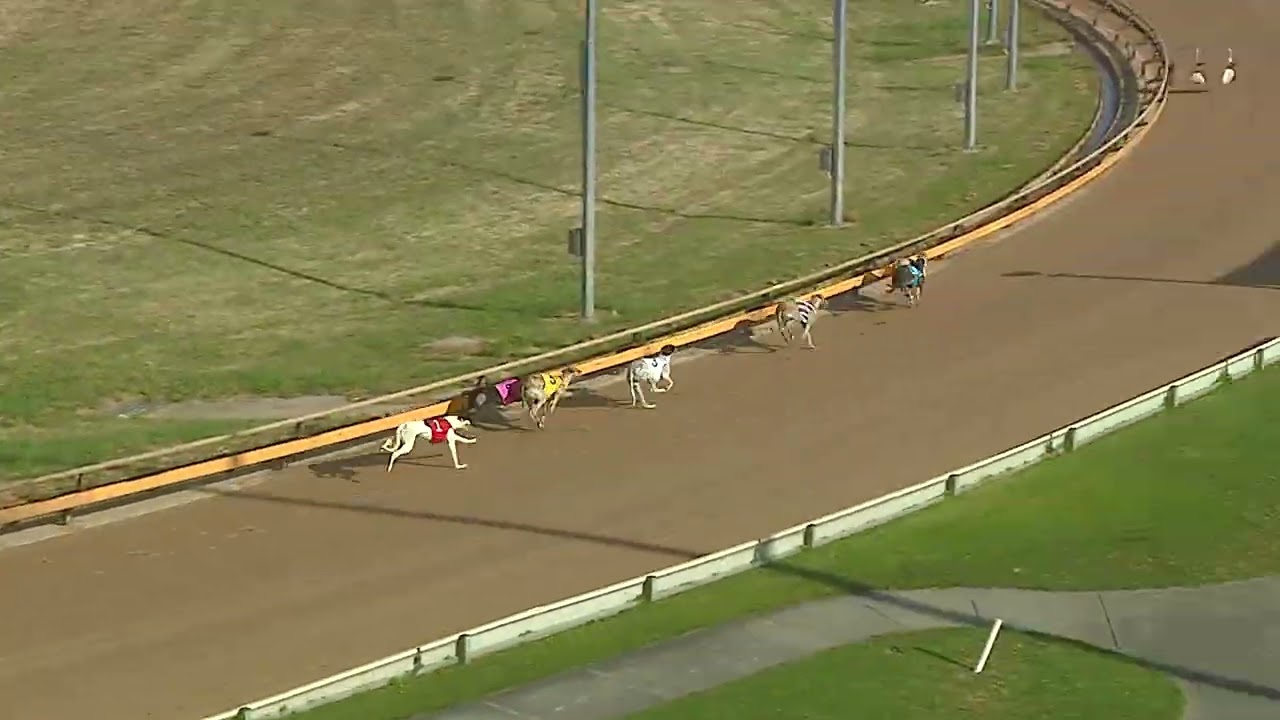 BAL TUE 13 JAN 26 R11