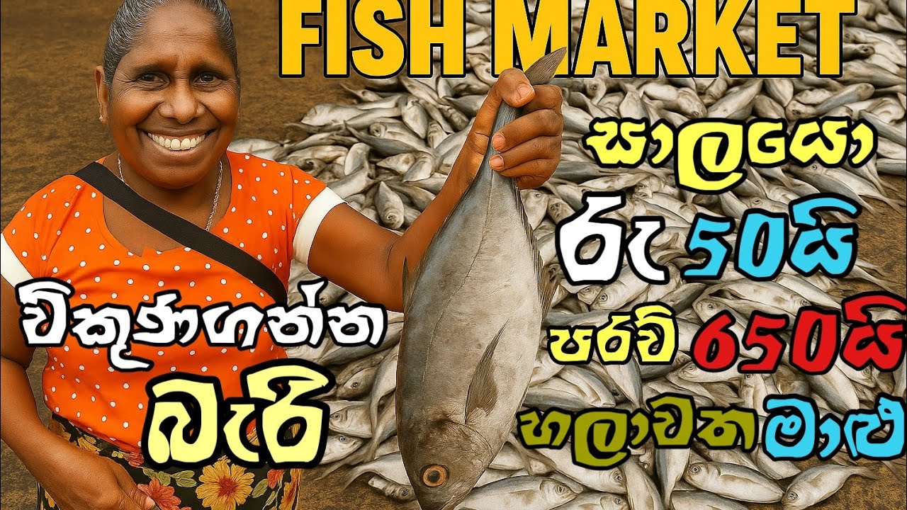 සාලයො රු 50යි| සූඩයෝ රු 250යි විකුණගන්න බැරි හලාවත මාළු |Seafood Market #fishmarket #seafood #fish