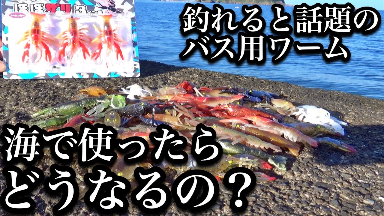話題のバス用ワームを海で使ってみたら…驚異の水中姿勢に一同騒然