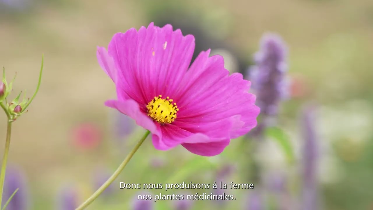 Paroles d’acteurs, Esprit parc national – Pyrénées : Jana PETRICOVA et Sylvain DELORD