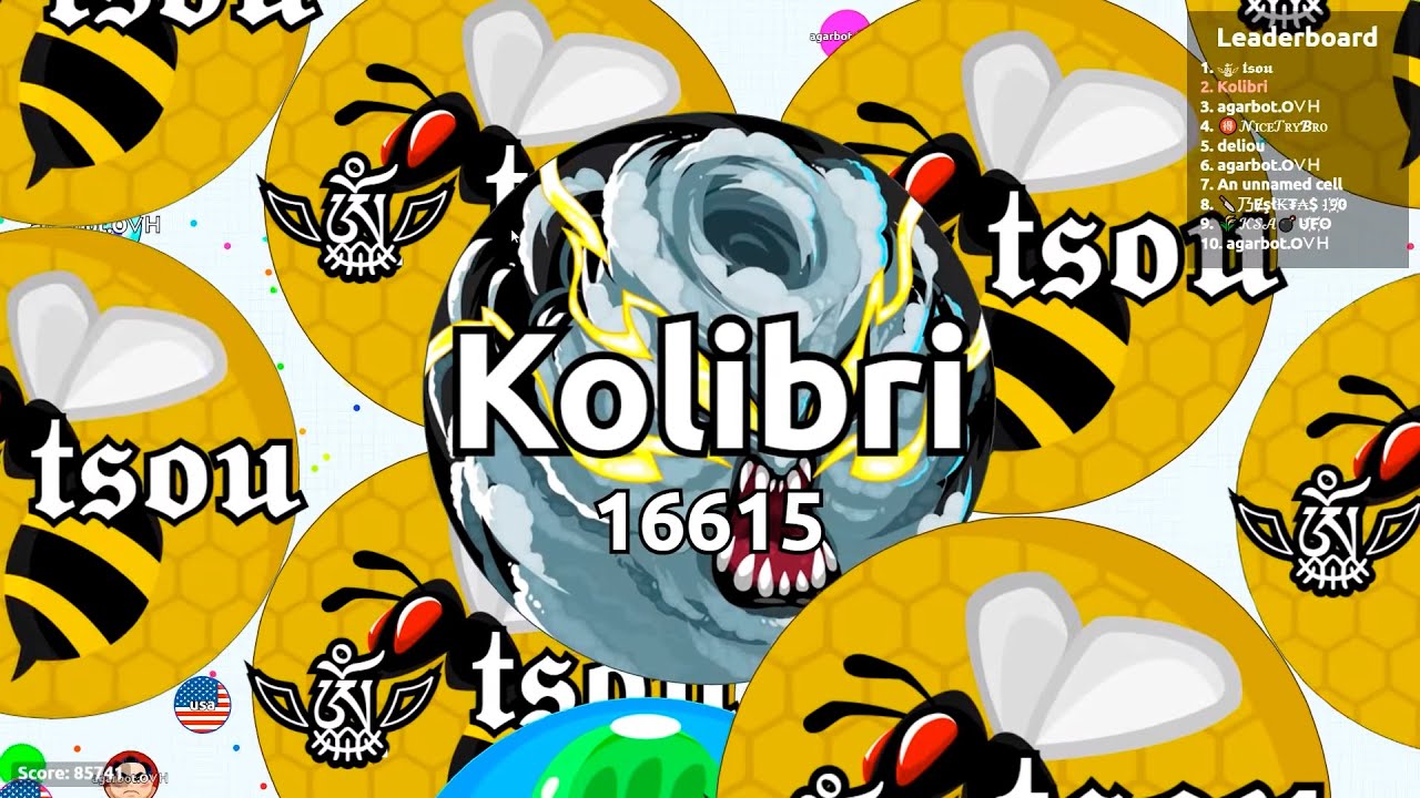 Endless Agario Battle Against Bot Users! Agar.io Solo Gameplay