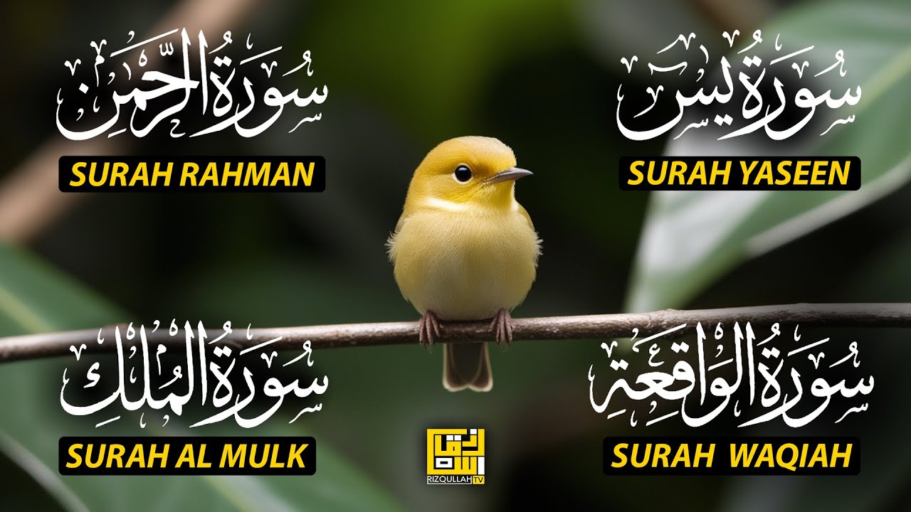 Magical Recitation Surah Yaseen (Yasin) | Surah Rahman | Surah Waqiah | Surah Mulk EP141