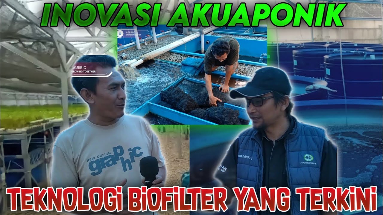 INOVASI SISTEM AKUAPONIK TERKINI