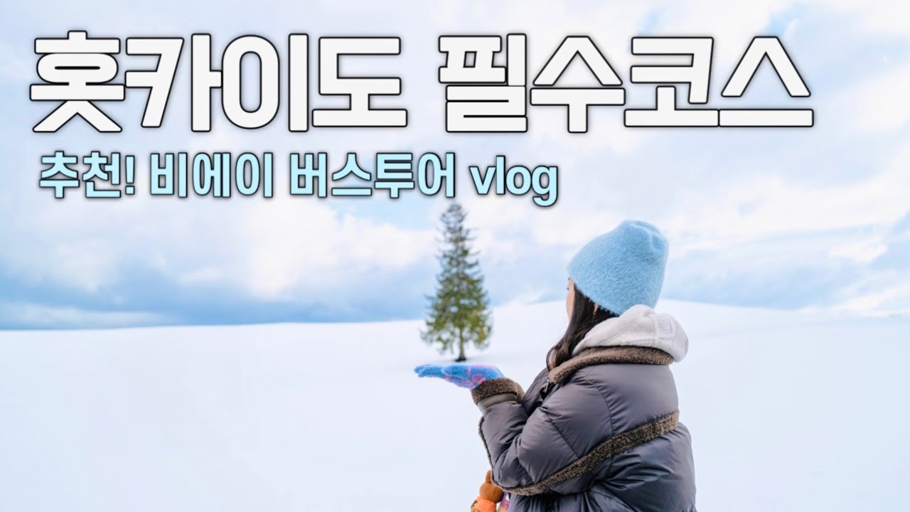 겨울 홋카이도 필수코스! 🎄비에이 당일치기 버스투어 ☃️ 삿포로에서 버스타고 비에이 핵심코스를 하루만에 다~ 돌아보기!