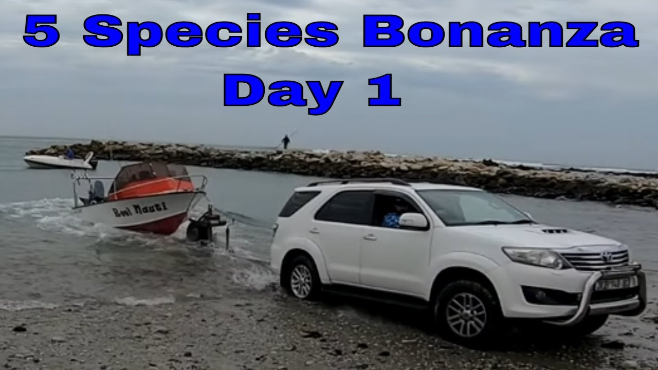 Noordnoek 5 Species Bonanza Day 1