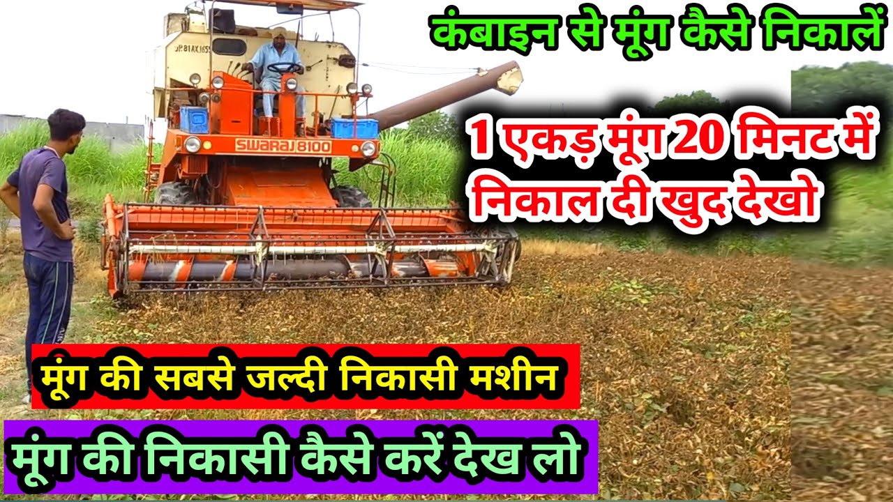 मूंग की हार्वेस्टिंग कैसे करें || moong harvesting machine || combime || moong ki kheti || real tech