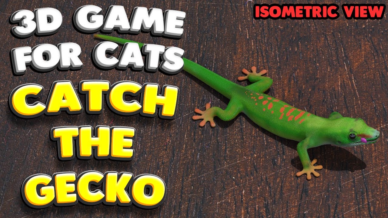 3D игра для кошек | ПОЙМАЙ ГЕККОНА (изометрический вид) | 4К, 60 кадров в секунду, стереозвук
