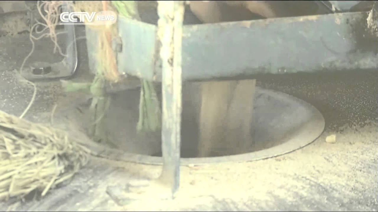 Ethiopia's Staple Food Teff Gains Popularity Across the World