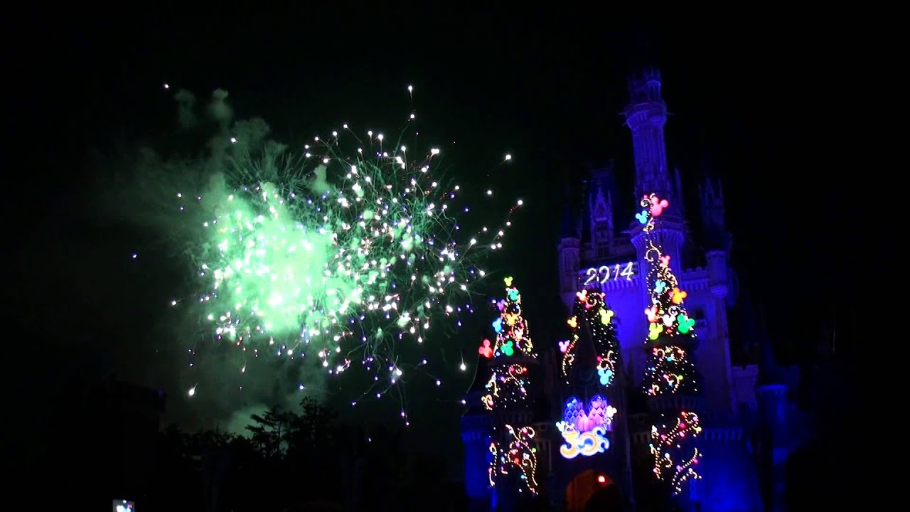 TDR 30周年　カウントダウン2014　ニューデイ、ニュードリームス