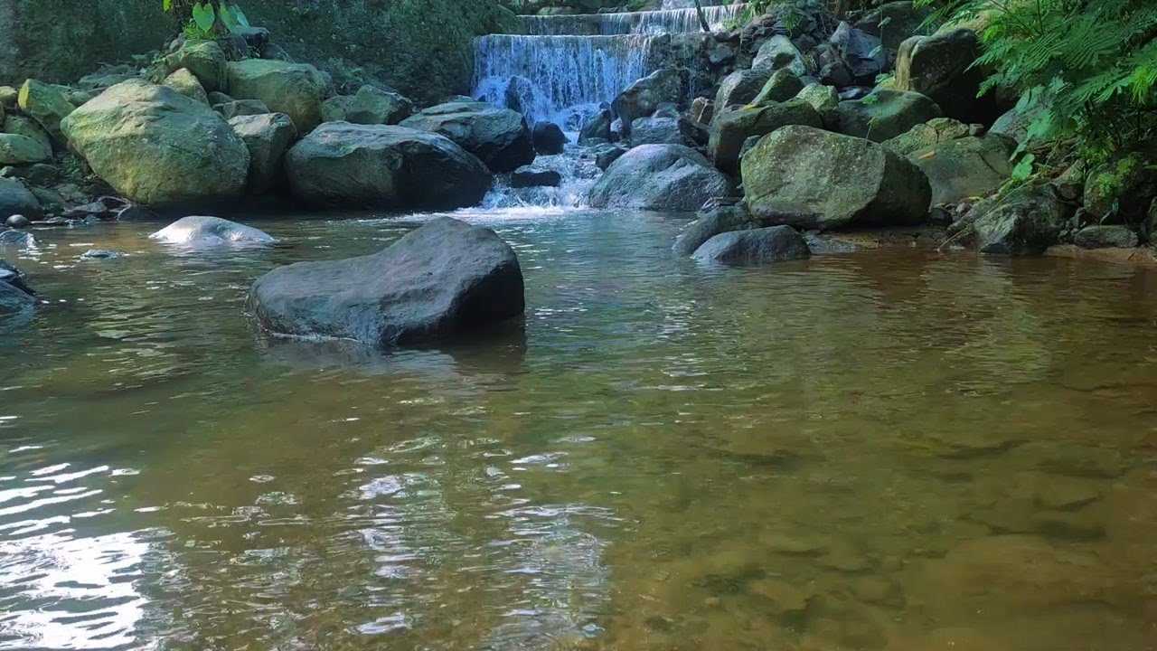 Tranquil Moonlight River – Calming Water Flow Sounds for Better Sleep Tonight