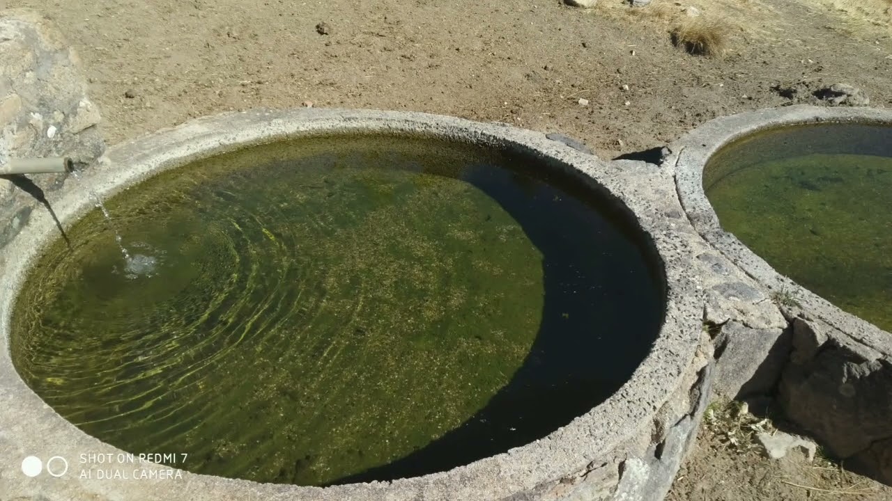 El Cardedal (Ávila)