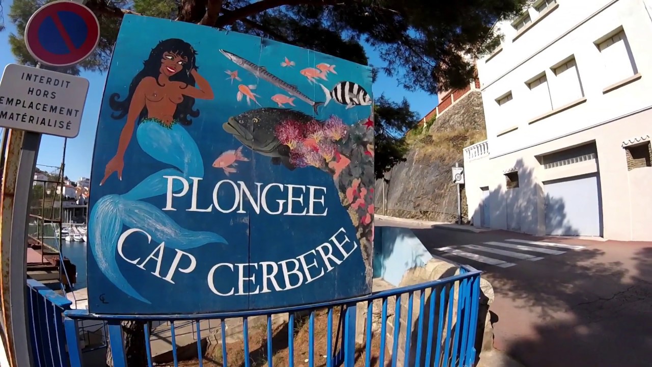 Quelques plongées au Cap Cerbère - Juillet 2019