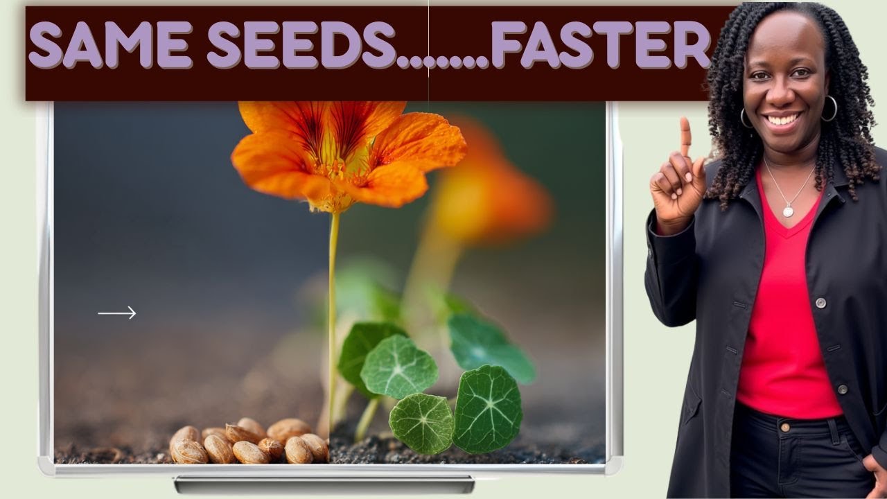 Grow Nasturtiums Faster with This Simple Seed Trick!