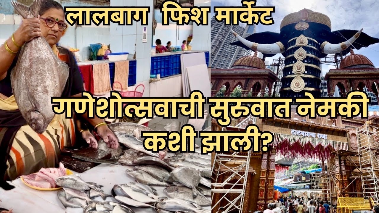 लालबाग च्या राजाची सुरुवात नेमकी कशी झाली? लालबाग फिश मार्केटमधून मिळालं उत्तर! Lalbaug Fish Market