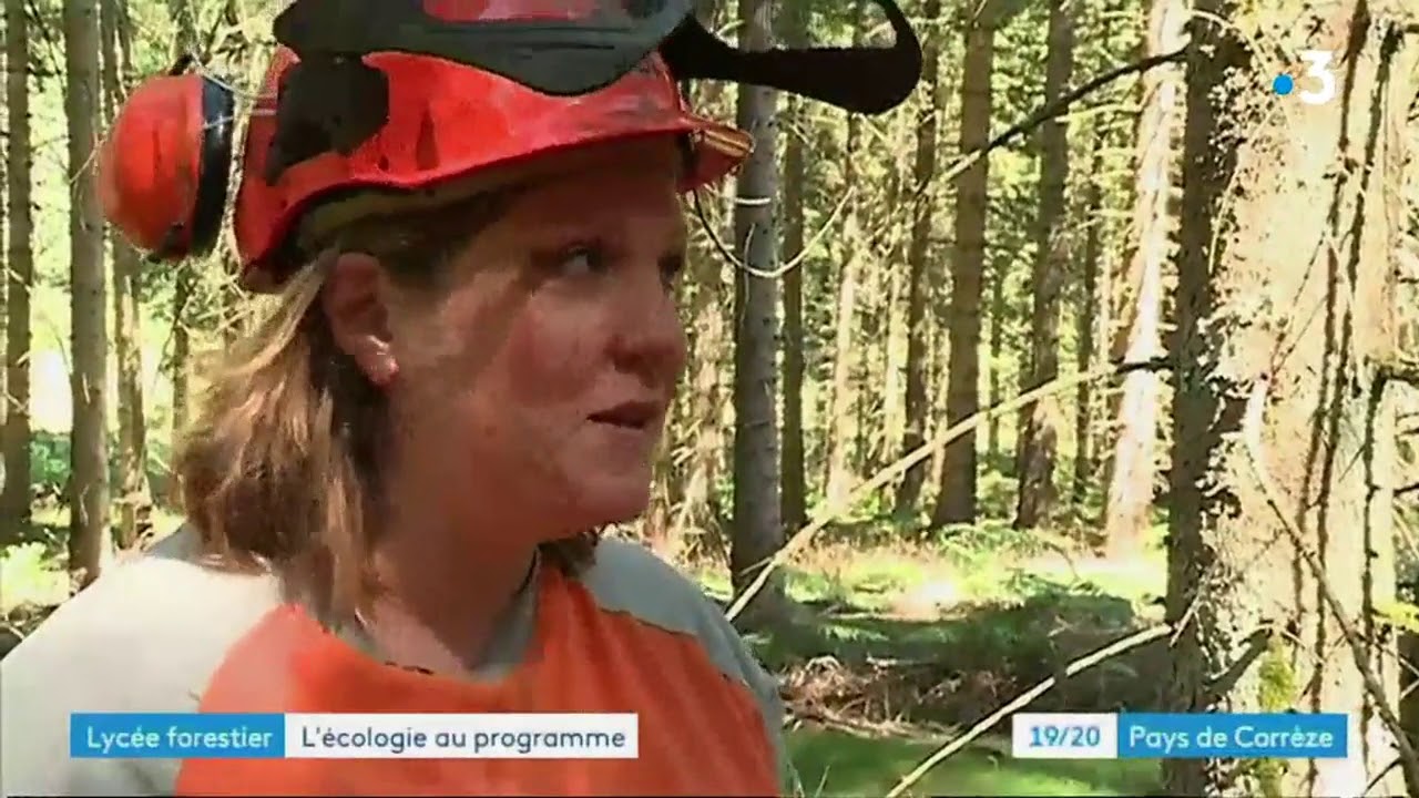Gestion durable des forêts - Ecole Forestière de Meymac
