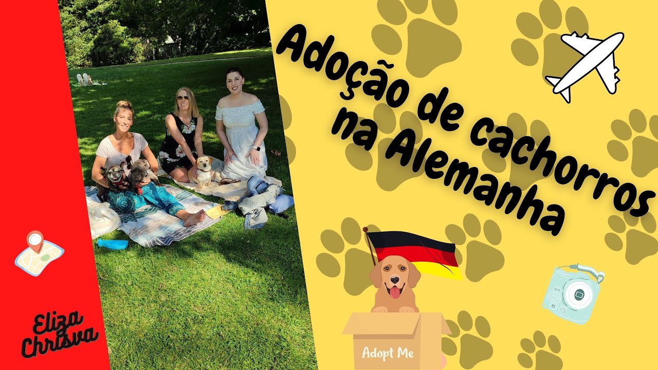 Como ter um cachorro na Alemanha: Entrevista com Alemãs.