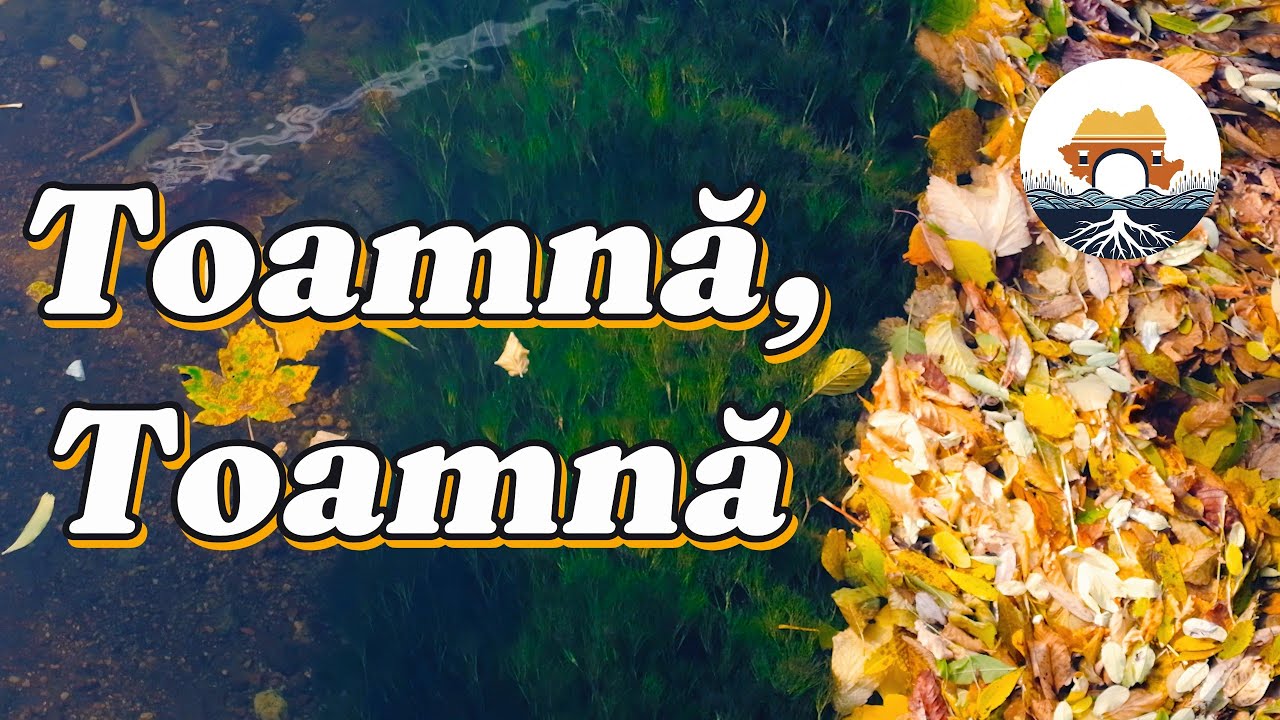 Noi Rădăcini - Toamnă, Toamnă (Videoclip Oficial)