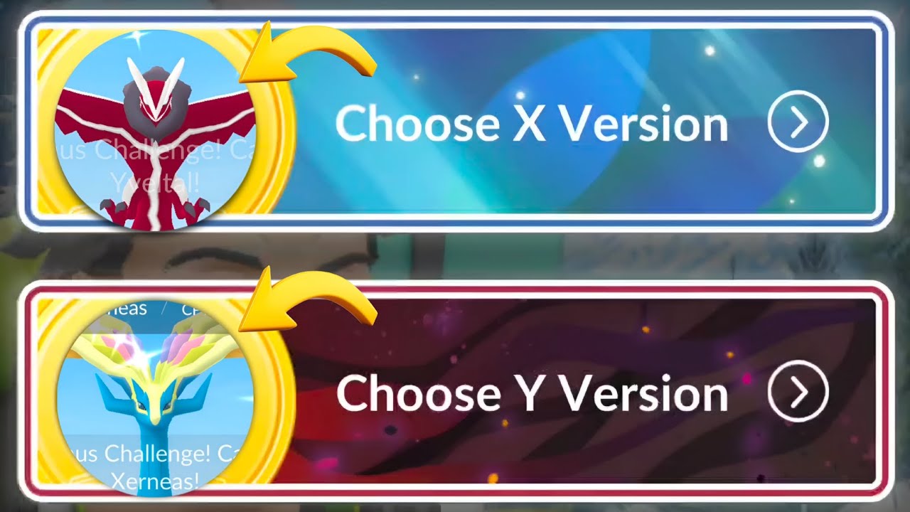 X Version or Y Version – Which One Did I Choose? Go Tour 2026 Special Research.